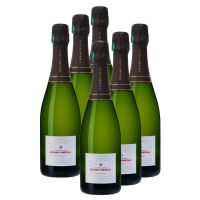 6 Champagne tradition Extra-Brut 75cl