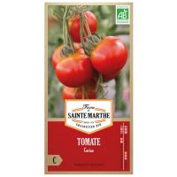 Tomate cerise en sachet de 50 graines