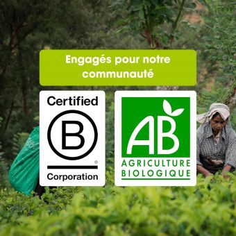 Calendrier de l'Avent ths English Tea Shop Bio