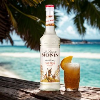 Sirop pur sucre de canne Monin 25cl