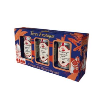 Coffret d'�pices tr�sors du Moyen-Orient