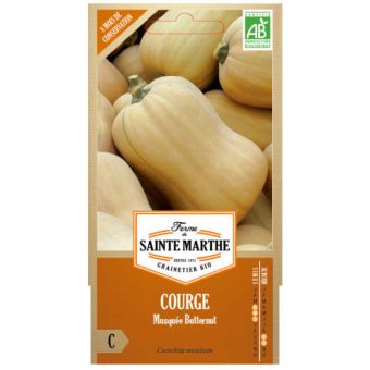 Courge musque butternut en sachet de 15 graines