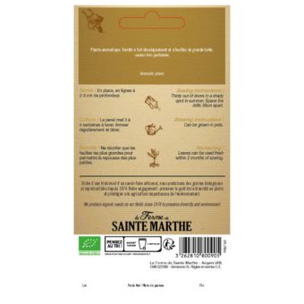 Persil commun en sachet de 1000 graines