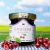 Confiture de cerise noire au sucre de canne 45g