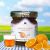 Confiture orange whisky au sucre de canne 45g